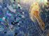 The walls in the tunnel between Riomaggiore and the train station are covered with mosaics.